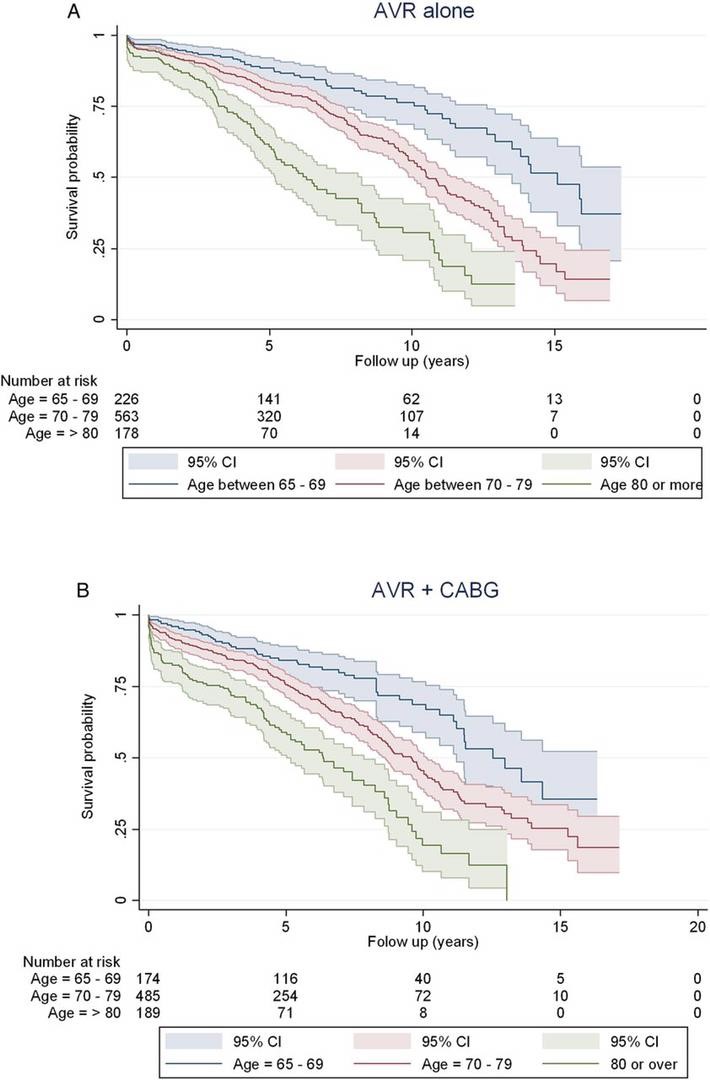 heart valve replacement surgery survival rate elderly